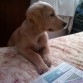 leyendo las noticias del dia!